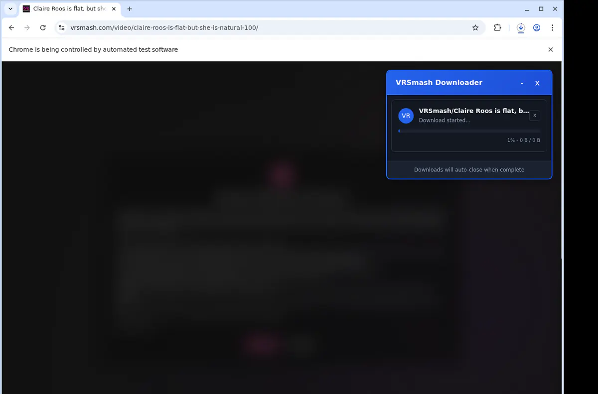 Vrsmash Video Downloader browser extension screenshot 2