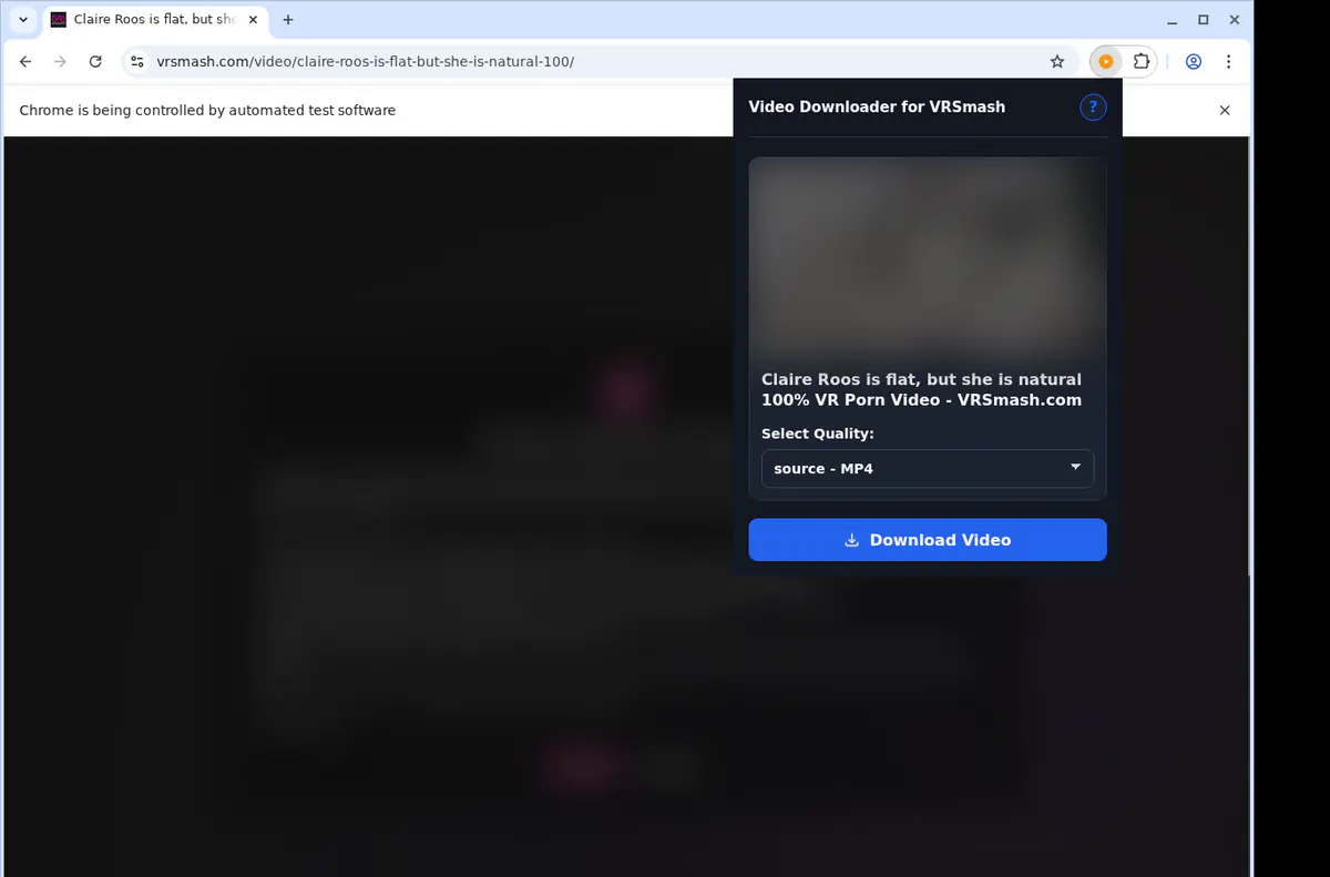 Vrsmash Video Downloader browser extension screenshot 3